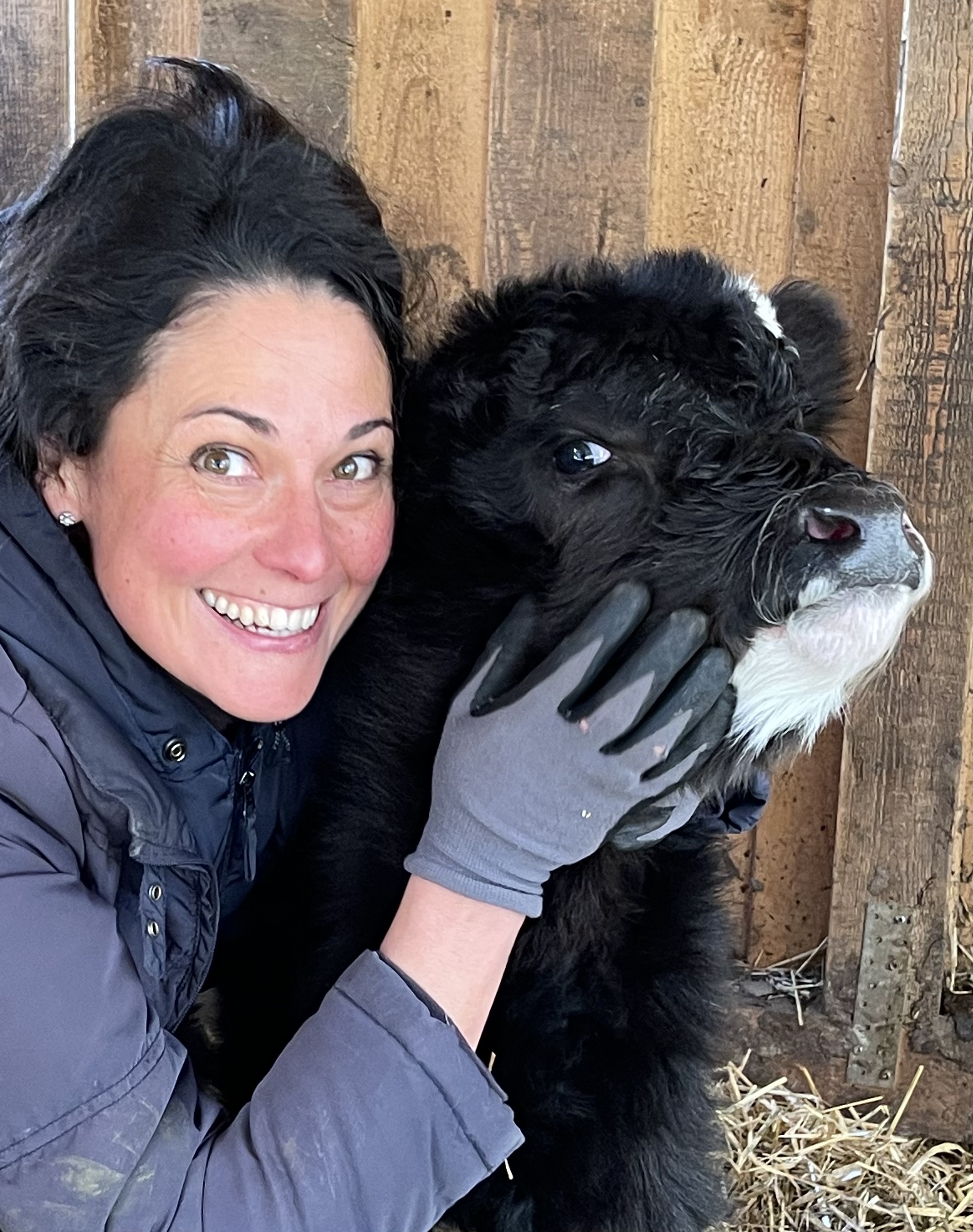 Über uns Galloways Agawang